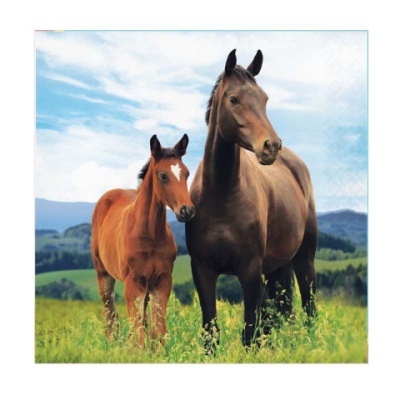 Guardanapos Cavalos