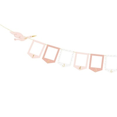 Grinalda Fotografias Rosa