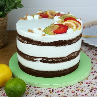 Preparado Sponge Cake Chocolate 500gr