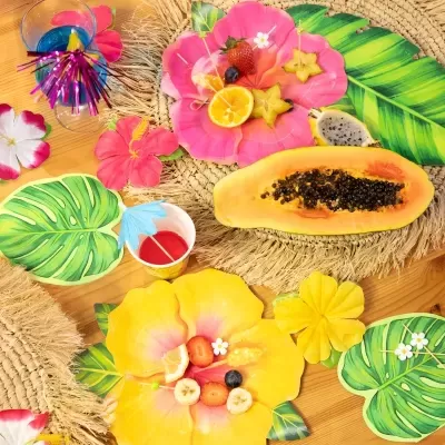 Pratos Flor Havaiana