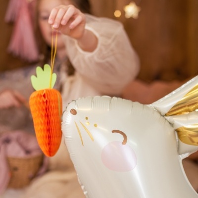 Decoração Cenoura