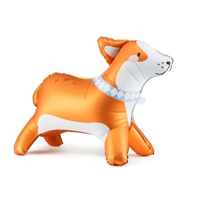 Balão Cão Corgi