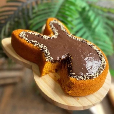 Forma Piscina Coelho Grande