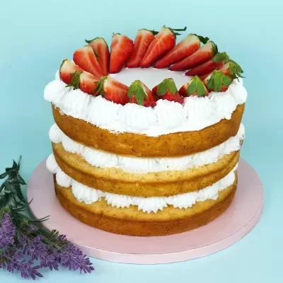 Preparado Sponge Cake 500gr