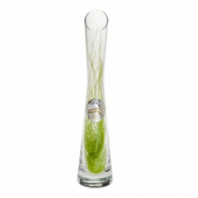 vaso alto de vidro transparente com decoração verde clara interna