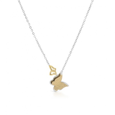 Colar prateado com pendente borboleta bicolor