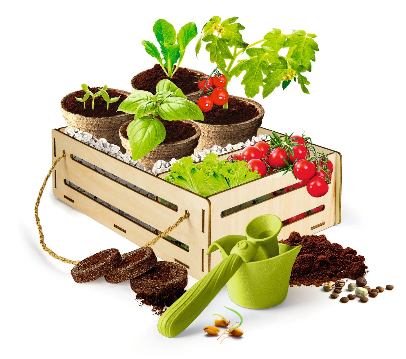 Kit de Jardinagem Conjunto de plantação em caixa de madeira com plantas e acessórios de jardinagem