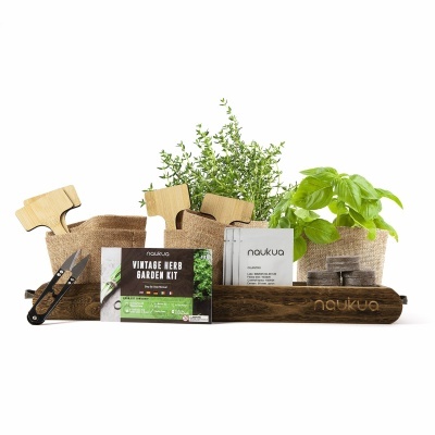 Kit de jardinagem de ervas vintage da Naukua com vasos e ferramentas