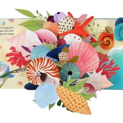 Livro infantil aberto com ilustrações coloridas de conchas e elementos marinhos.