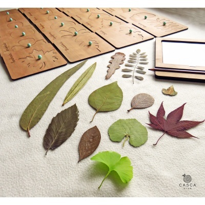 Folhas secas variadas junto a placas de madeira e caderno com lápis