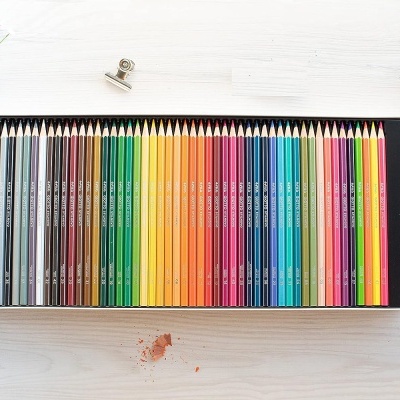 Conjunto de lápis de cor em caixa preta sobre mesa clara com flores e aparas
