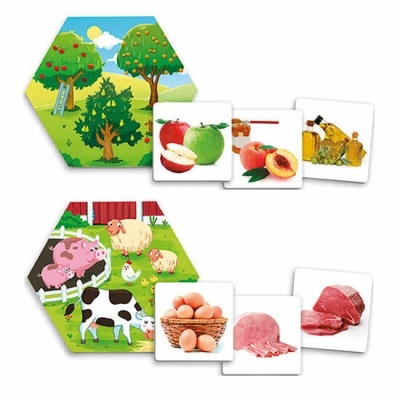 Cartões hexagonais ilustrados com frutos e animais de quinta e respetivos produtos alimentares.