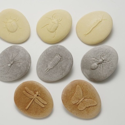 Conjunto de pedras ovais com gravuras de insetos em relevo