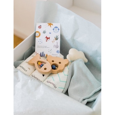 Caixa com brinquedos de madeira, fraldas e embalagem com desenhos de animais.