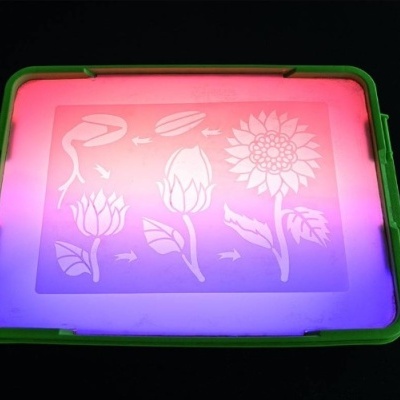 Caixa de plástico verde com desenho educativo de evolução de planta para flor iluminada por luzes coloridas