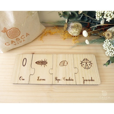 Peças de madeira com desenhos e textos das etapas de vida da joaninha