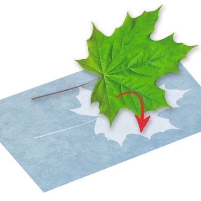 Folha verde de ácer sobre molde azul com buraco em forma de folha e seta vermelha indicando encaixe