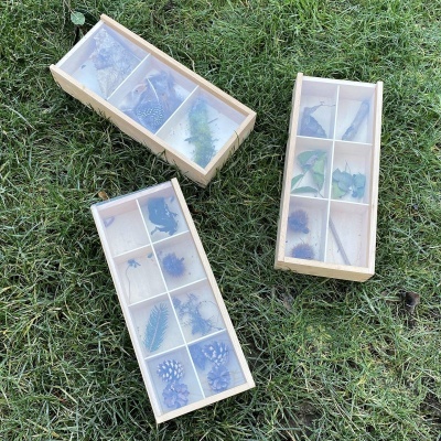 Três caixas de madeira com tampas transparentes contendo itens naturais secos em compartimentos