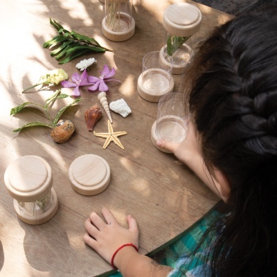 Frascos de madeira e plástico com elementos naturais numa mesa