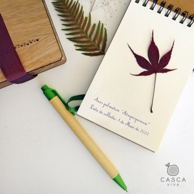 Bloco de notas espiralado com folha seca e caneta ecológica sobre superfície branca