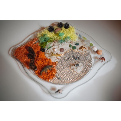 Prato decorativo transparente com materiais naturais coloridos em compartimentos