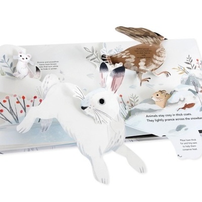 Livro infantil pop-up com ilustrações de animais da floresta e texto em inglês.