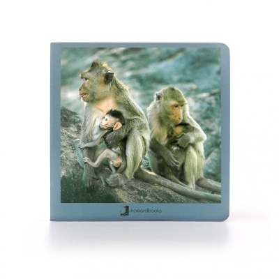 Capa azul claro com fotografia de três macacos, dois adultos segurando bebés, em pedra.