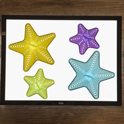 Estrelas do mar decorativas em quatro cores sobre fundo branco em moldura preta.