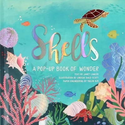 Capa colorida de livro pop-up 'Shells' com ilustrações de vida marinha e conchas