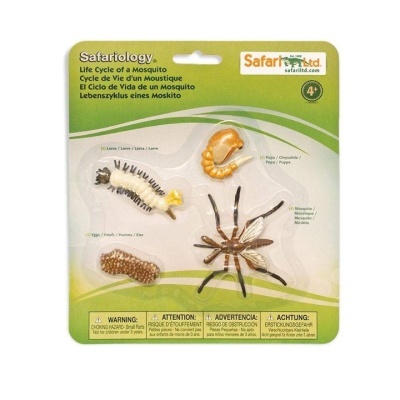 Conjunto figuras ciclo de vida do mosquito em embalagem Safari ltd