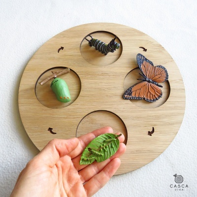 Placa de madeira com figuras de lagarta, crisálida, borboleta e folha para encaixe