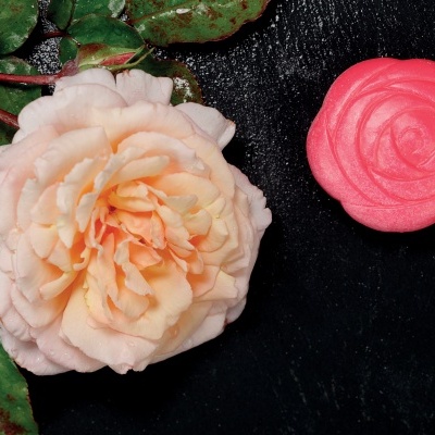 Rosa creme natural ao lado de rosa cor-de-rosa artificial sobre fundo preto