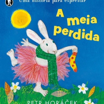 Capa de livro infantil com coelho branco e meia amarela no campo