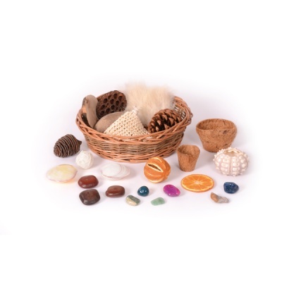 Conjunto decorativo com cesto em verga e elementos naturais variados sobre fundo branco.