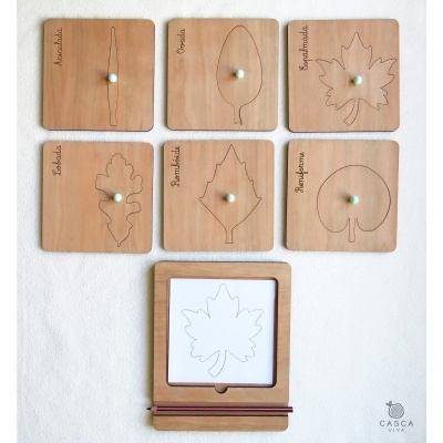 Seis placas de madeira com desenhos de folhas e uma moldura com desenho de folha e dois lápis de cor