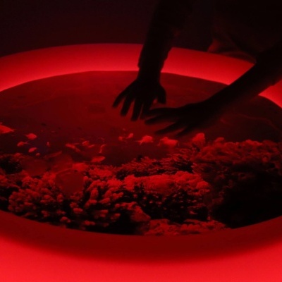 Mesa redonda iluminada em vermelho com duas mãos mexendo mistura texturizada