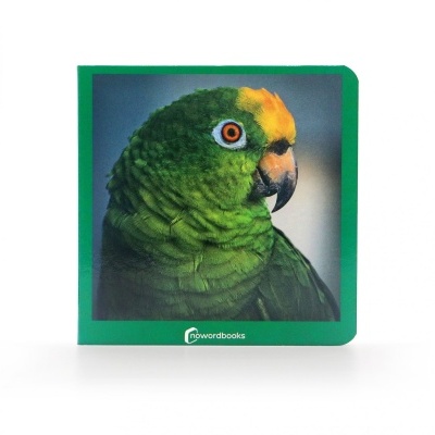 Capa de livro verde com imagem de papagaio e texto nowordbooks