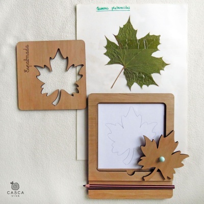 Ferramenta de desenho em madeira clara com folha real de bordo sobre papel A4