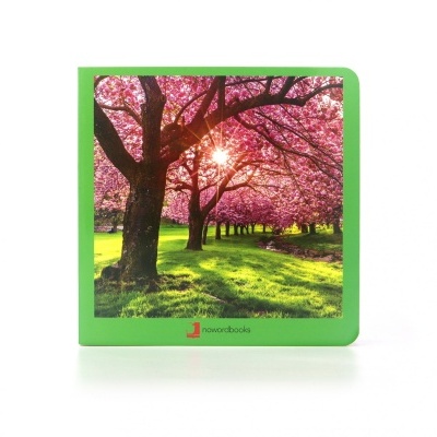 Capa verde com imagem de árvores com flores cor-de-rosa sob luz solar