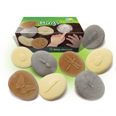 Pedras decorativas com gravações de insetos em várias cores