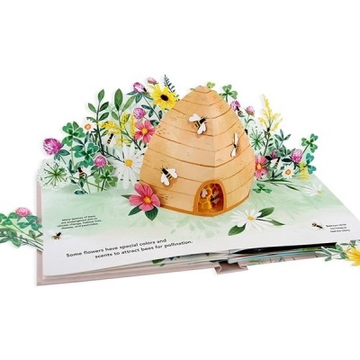 Livro pop-up com colmeia e flores coloridas