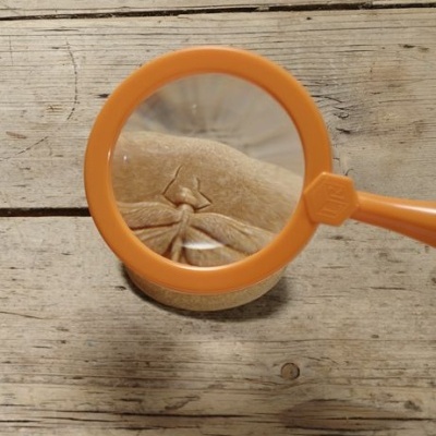 Lupa laranja a ampliar figura numa superfície de bolo ou biscoito sobre mesa de madeira clara