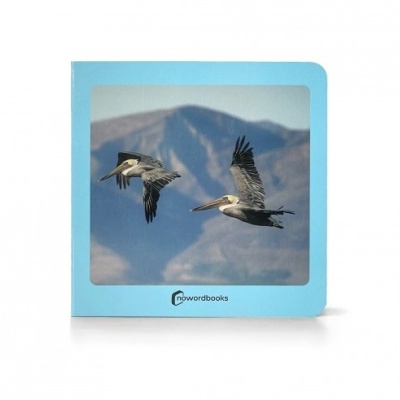 Capa azul clara com duas aves a voar e montanha ao fundo