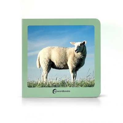 Livro infantil com capa verde e foto de ovelha em relva