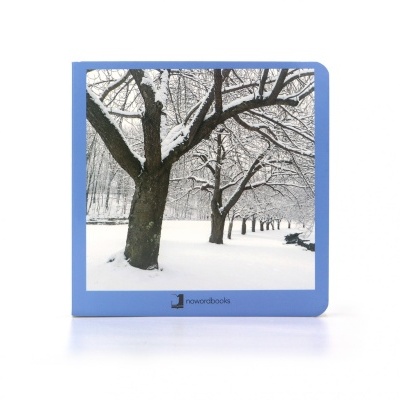 Livro quadrado azul com foto de árvores cobertas de neve na capa