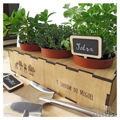 vasos de plantas aromáticas em base de madeira com identificação em quadros negros