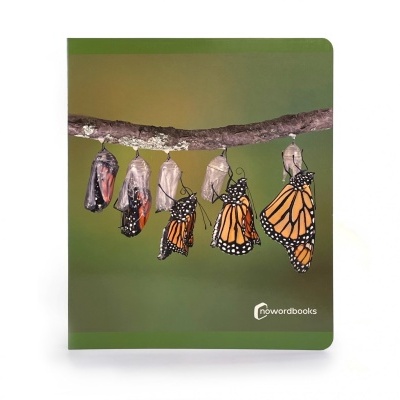 Capa de caderno com borboletas e crisálidas penduradas num ramo