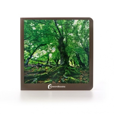 Capa de livro com imagem de floresta verde e musgo, moldura castanha, texto 'nowordbooks'.