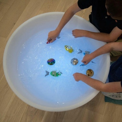 Dois rapazes a brincar com peixes de plástico numa bacia branca com água