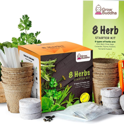 Kit de cultivo com vasos biodegradáveis, sementes, caixa e ferramentas para 8 tipos de ervas